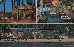 The Castaway at Coyote Point Postcard