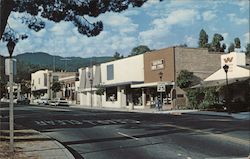 Street Scene Saratoga, CA Saratoga Drug Store Postcard Postcard Postcard