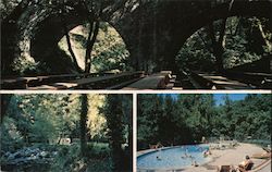 Saratoga Springs Picnic & Campgrounds Postcard