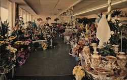 Flowerland Floral Shop Postcard