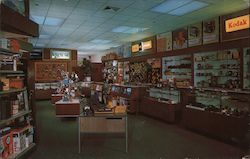 Webber's Camera Supplies and Photographic Services Postcard