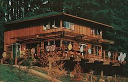 The Kite coffee house and Redwood Shop Postcard