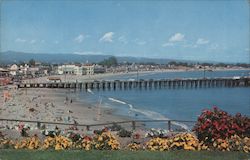 Cowell Beach Postcard