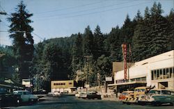 Monte Rio Postcard