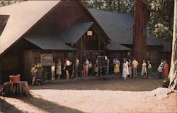 Dining Room at San Francisco Recreation Camp Postcard