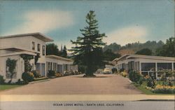 Ocean Lodge Motel Postcard
