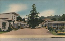 Ocean Lodge Motel Santa Cruz, CA Postcard Postcard Postcard