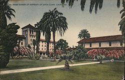 Inner Garden of University of Santa Clara Postcard