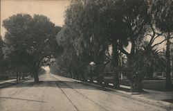 University Avenue Postcard