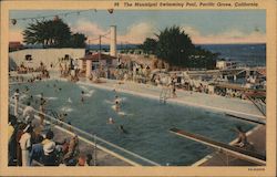 The Municipal Swimming Pool Pacific Grove, CA Postcard Postcard Postcard