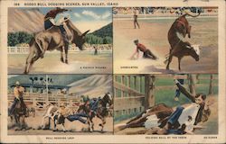 Rodeo Bull Dogging Scenes Postcard