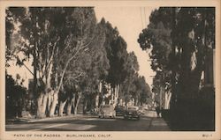 Path of the Padres Postcard