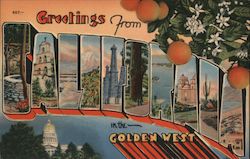 Greetings from California in the Golden West Postcard
