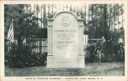 Grave of Theodore Roosevelt, Long Island Postcard