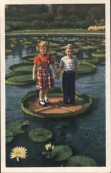 Missouri Botanical Garden Postcard