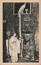 Long Tail Rooster at Ripley's Odditorium Postcard