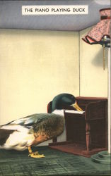 The Piano Playing Duck - I.Q. Zoo Postcard