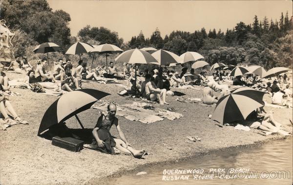 Guernewood Park Beach, Russian River California Lark Photo