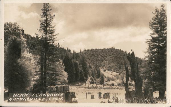 Near Ferngrove Guerneville California