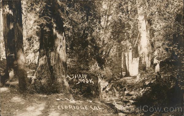 A Shady Nook Eldridge California