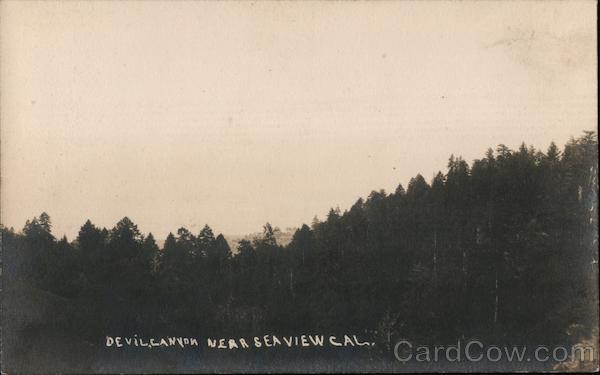 Devil Canyon, Near Seaview 1907 Cazadero California