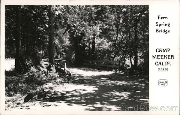 Fern Spring Bridge Camp Meeker California Braun Photo