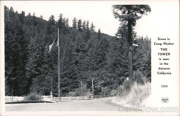 Scene in Camp Meeker California Postcard