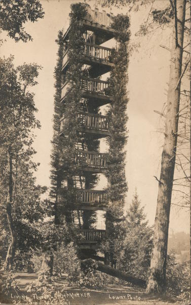 Living Tower Camp Meeker California Lowry Photo