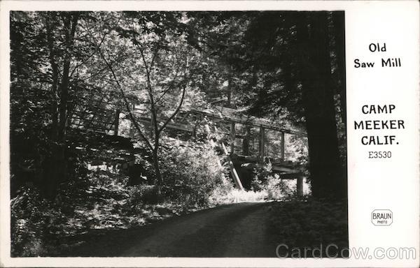 Old Saw Mill, Camp Meeker Occidental California Braun Photo