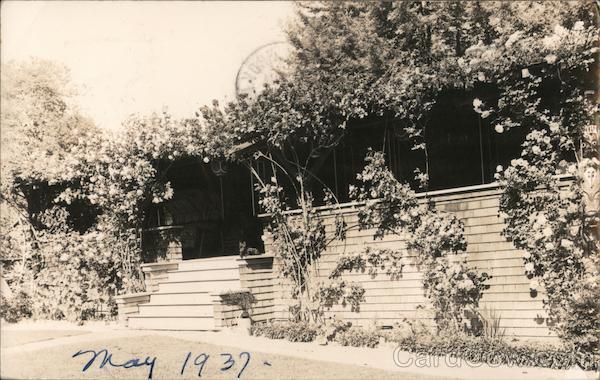 Vine Covered Cabin Monte Rio California