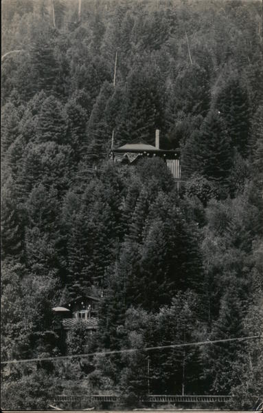Eagle's Nest On The Russian River Guerneville California