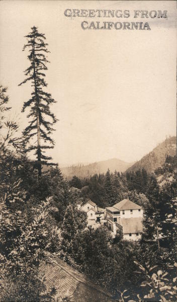 Greetings from California Monte Rio