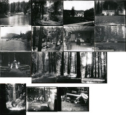 Lot of 15: Russian River Photographs Original Photograph