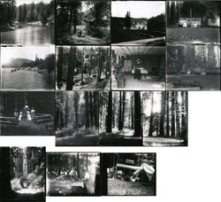 Lot of 15: Russian River Photographs California Original Photograph Original Photograph Original Photograph