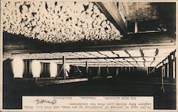 The Bird Hatchery Postcard