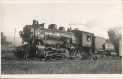 Train Engine Scene Petaluma, CA Postcard Postcard Postcard