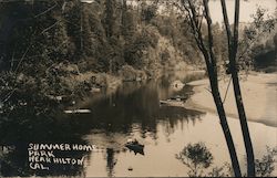 Summer Home Park Postcard