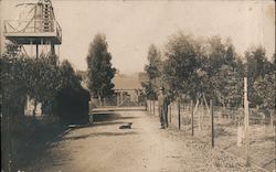 A Man on a Dirt Road with a Dog Laying Down in the Middle of the Road Postcard