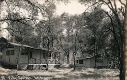 Cabins, trees, path Vichy Springs, CA Postcard Postcard Postcard