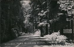 Mirabel Park Postcard
