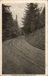 Driveway, City Park Postcard