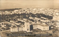 Stock #813904 Thumbnail