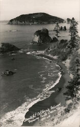 Beautiful California Redwood Highway Pacific Ocean Shore Postcard
