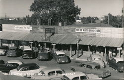 Cars Parked at Wall Drug Store Postcard