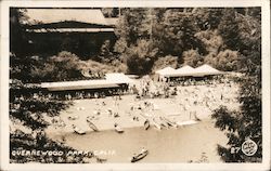 Beach Scene Postcard