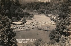 Guernewood Park Beach, Russian River Guerneville, CA Lark Photo Postcard Postcard Postcard