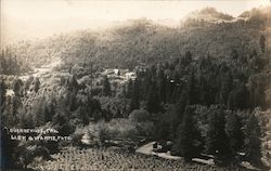 Scenic View Postcard