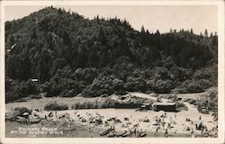 Sunbathers and Canoers at Rolands Beach on the Russian River Postcard