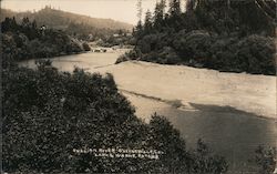 View of Russian River Postcard