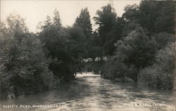 Neely's Park Postcard